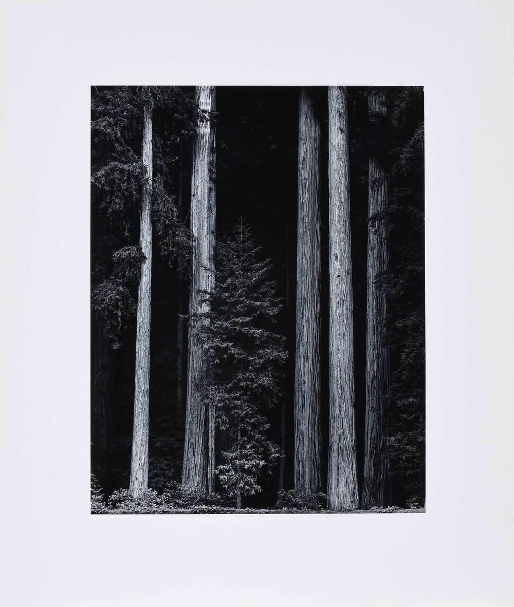 David Muench comparable auction result: david muench