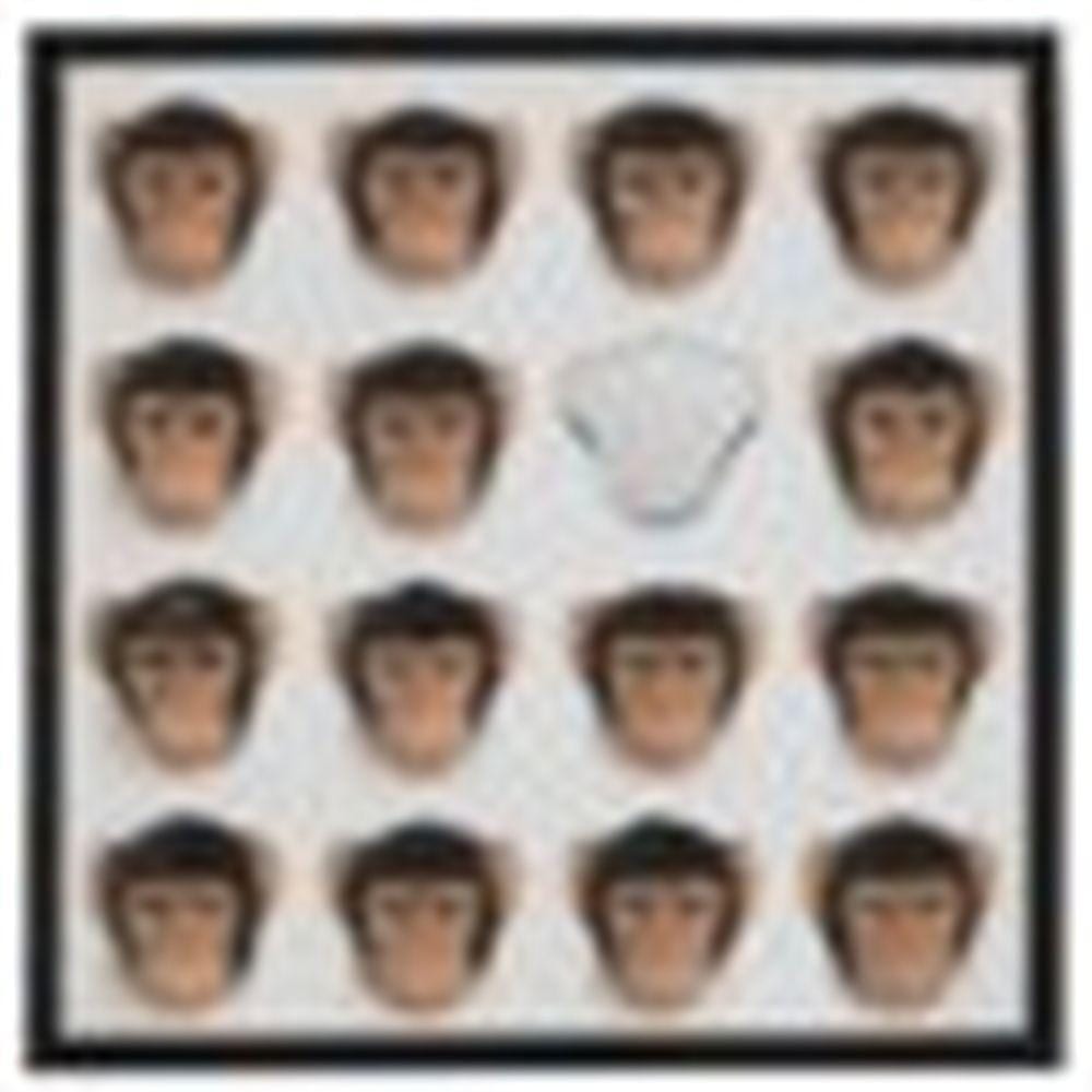 Nelson Leirner comparable auction result: nelson leirner 1932 2020 voc faz parte o retorno wood rubber and mi