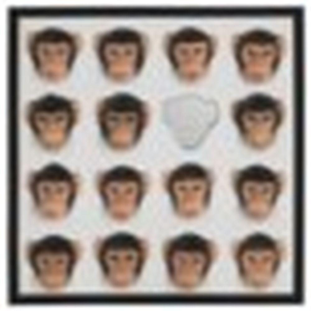 Nelson Leirner comparable auction result: nelson leirner 1932 2020 voc faz parte o retorno wood rubber and mir