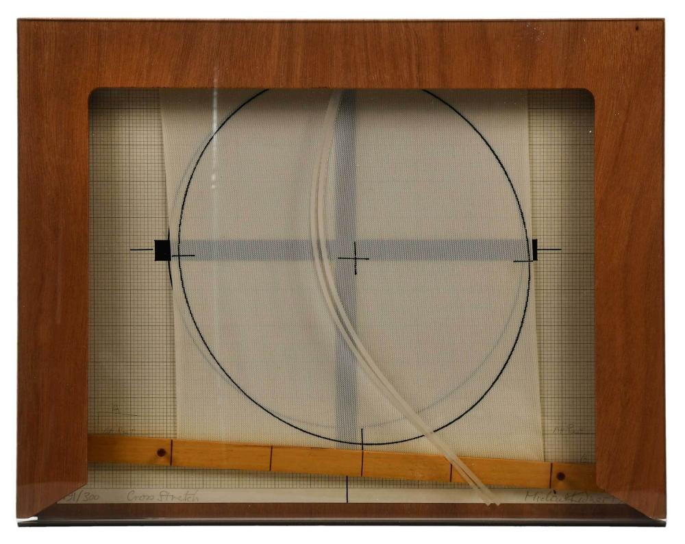 Michael Kidner comparable auction result: michael kidner the elastic membrane