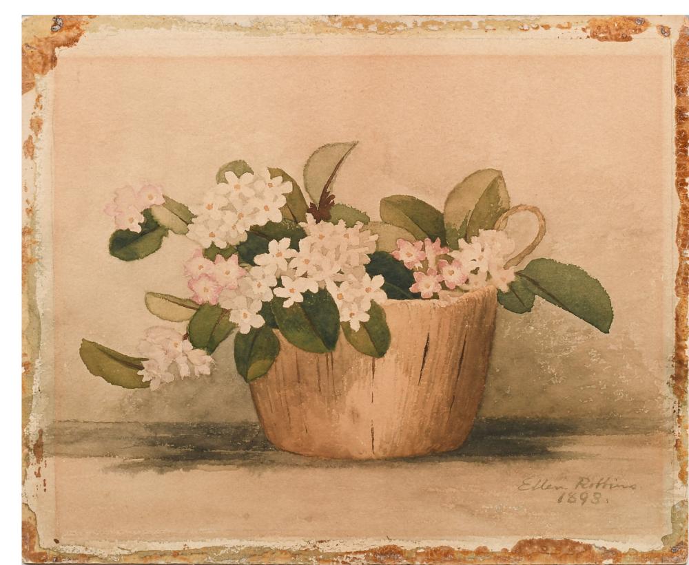 Ellen Robbins comparable auction result: ellen robbins watercolor still life