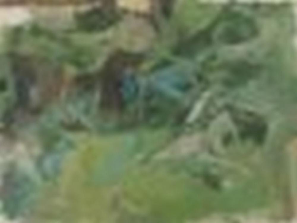 Michael Andrews comparable auction result: michael andrews 1928 1995 the garden at 13 park lane norwich michael andrews 1928 1995 the gar