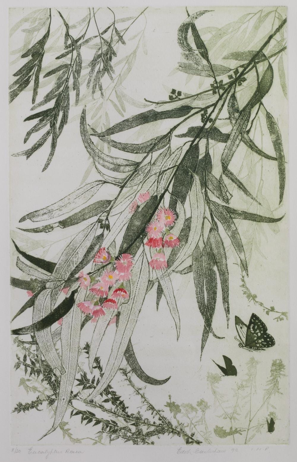 Edith Cowlishaw comparable auction result: edith cowlishaw born 1924 eucalyptus rosea 1990