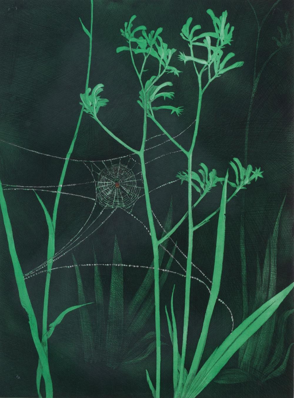 Pamela Griffith comparable auction result: pamela griffith born 1943 st andrews spider and kangaroo paw