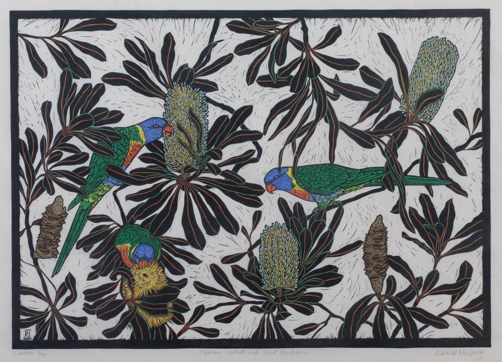 Rachel Newling comparable auction result: rachel newling born 1956 rainbow lorikeet and coast banksia
