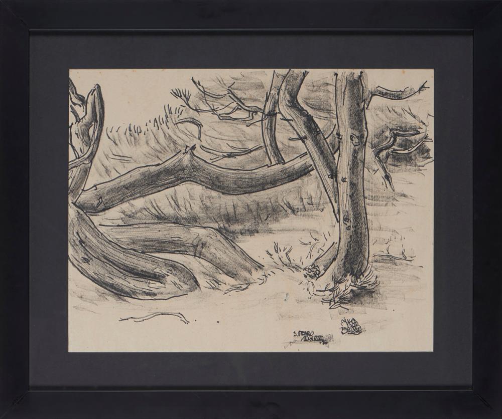 António Duarte comparable auction result: ant nio duarte t c mista s papel 47 x 60 cm