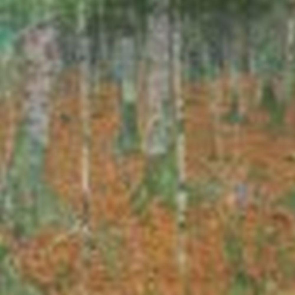 Painting of slender tree trunks in a dense woodland.