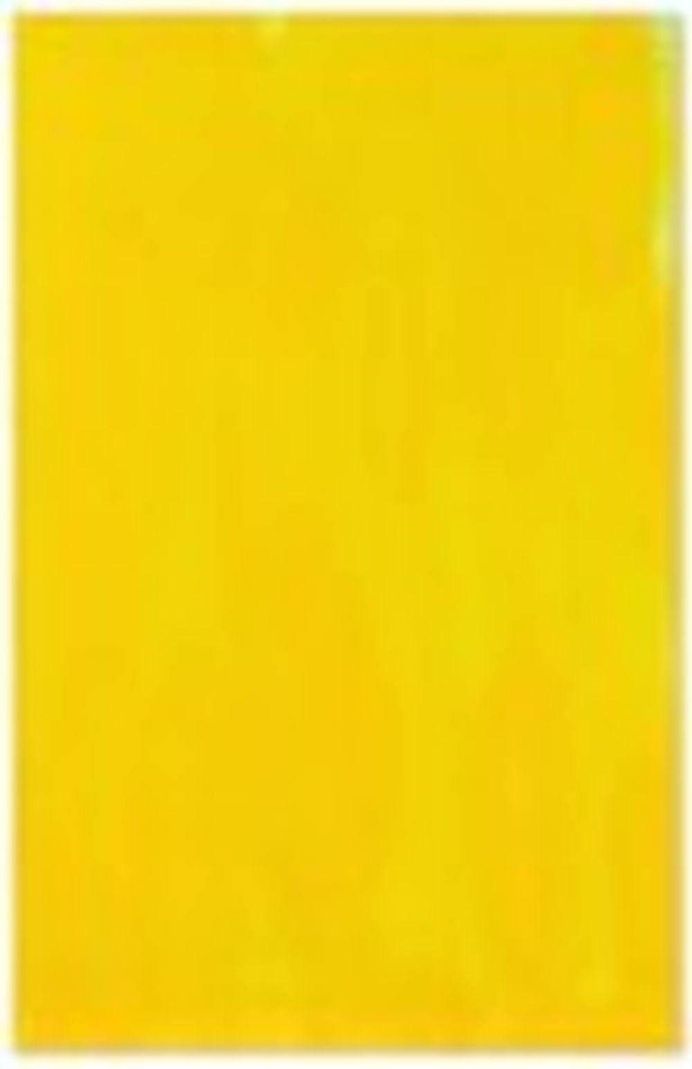 Dan Rees comparable auction result: dan rees b 1982 shaker peg painting xi oil on linen shaker peg rails ca