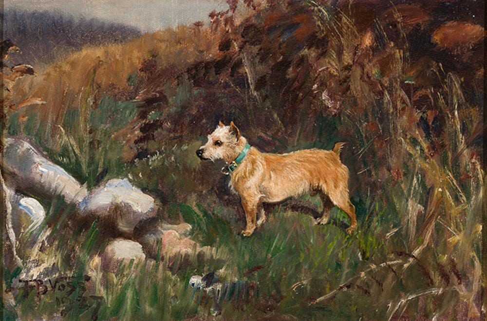 Franklin Brooke Voss comparable auction result: franklin brooke voss cinnamon study of a norwich terrier