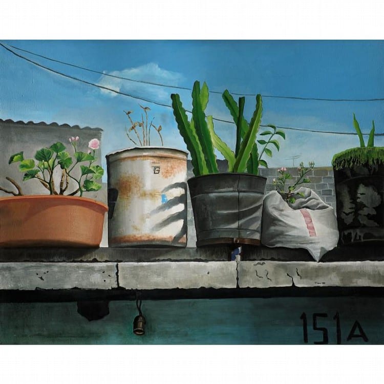 Elena Climent comparable auction result: elena climent b 1955 macetas