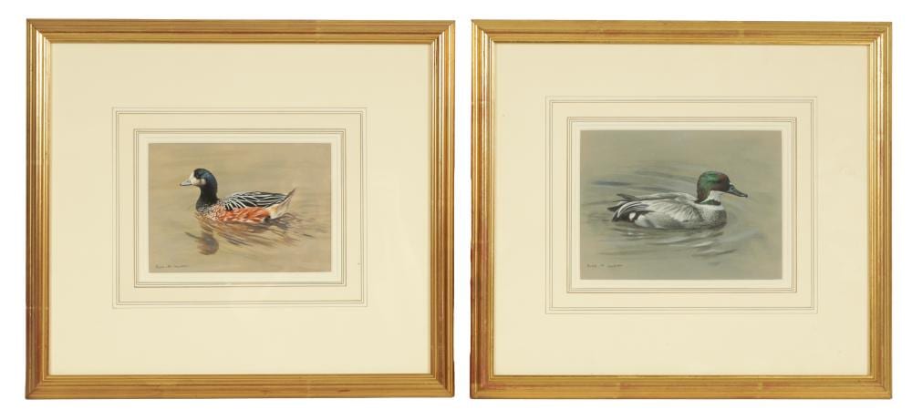 Alan M. Hunt comparable auction result: alan m hunt born 1947 a pair of watercolours and gouache