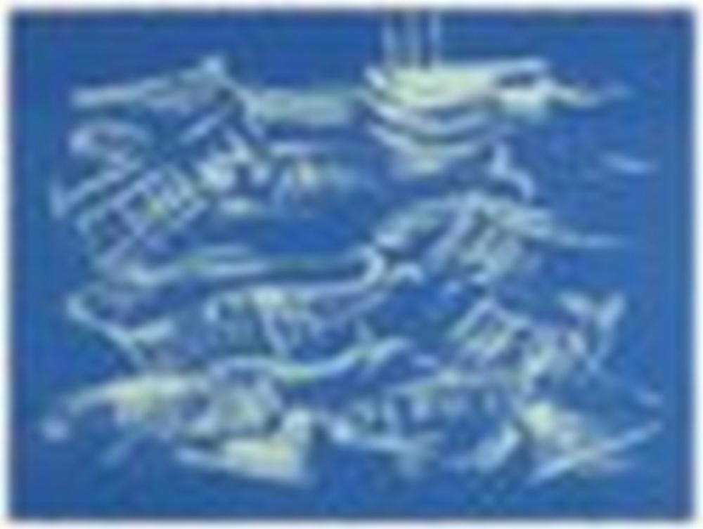 René Daniëls comparable auction result: ren dani ls b 1950 het schoolbestuur is oneens met eg bepalingen lithog