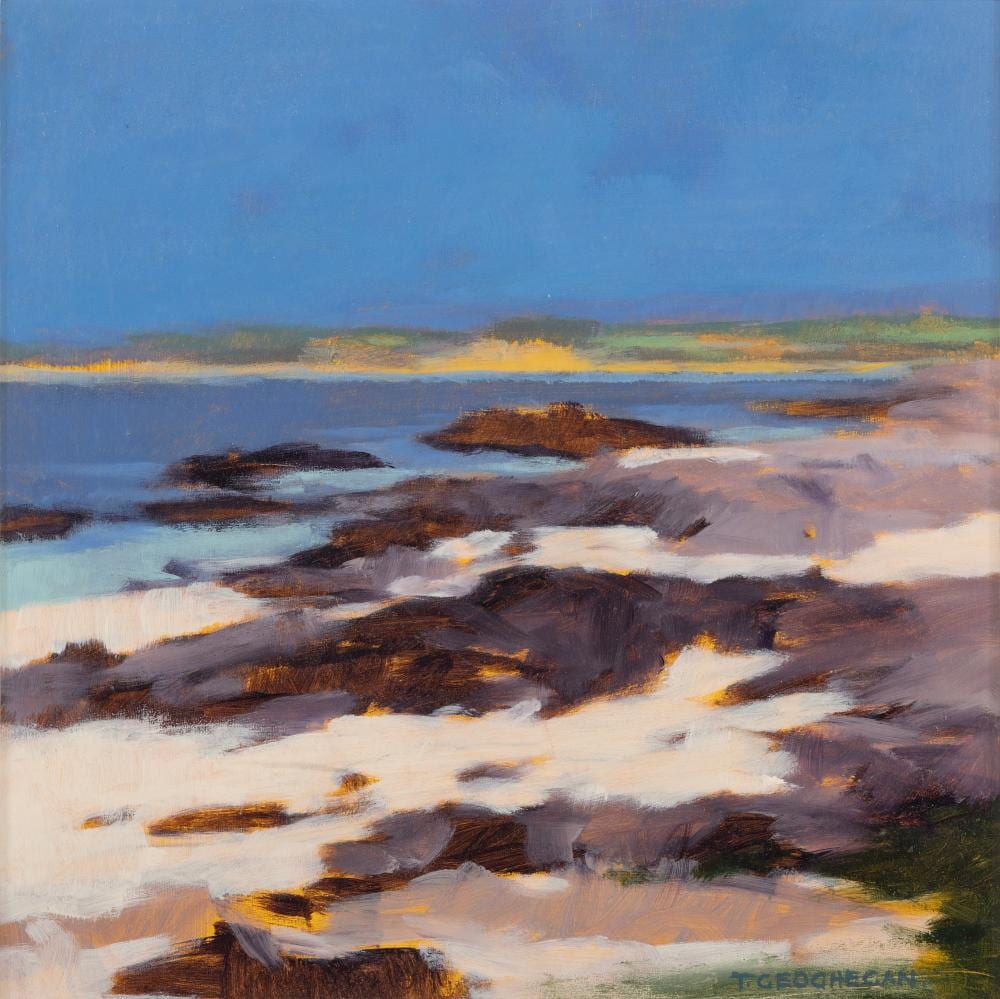 Trevor Geoghegan comparable auction result: trevor geoghegan b 1946 summer of 95 near roundstone oil on panel 33 x 33cm 13 x 13 signed provenance with solomon gallery dublin label verso