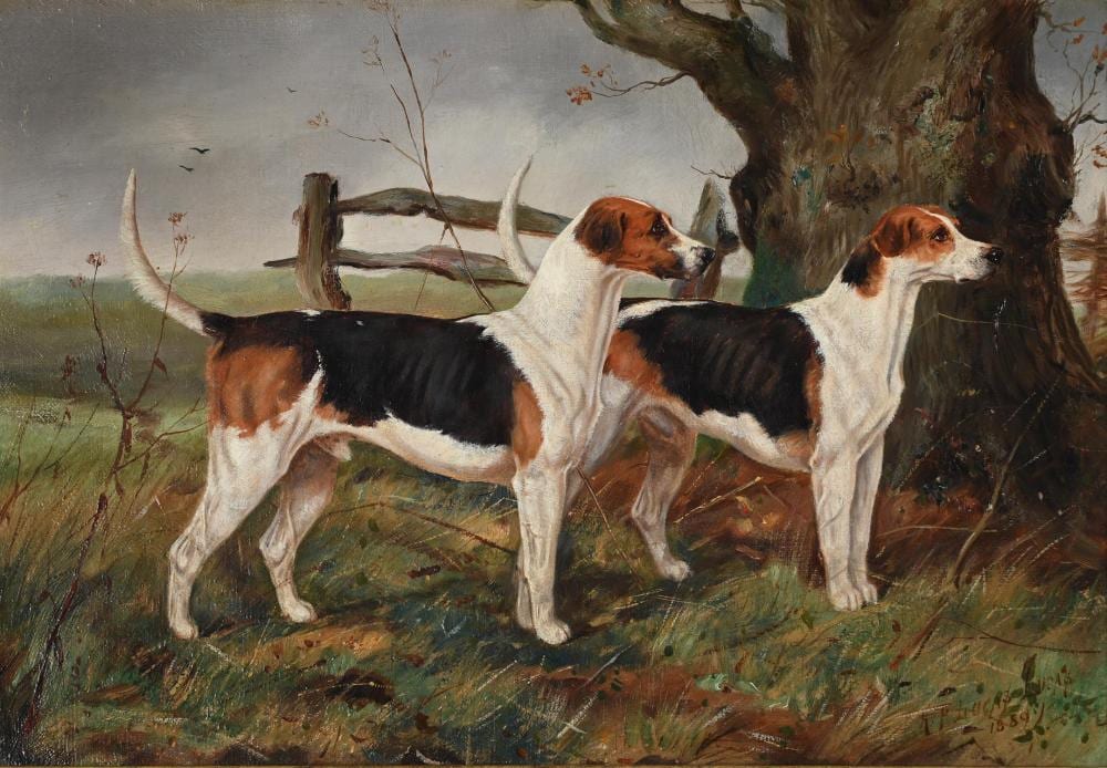 Henry Frederick Lucas Lucas comparable auction result: henry frederick lucas lucas british 1848 1943 a couple of warwickshire hounds