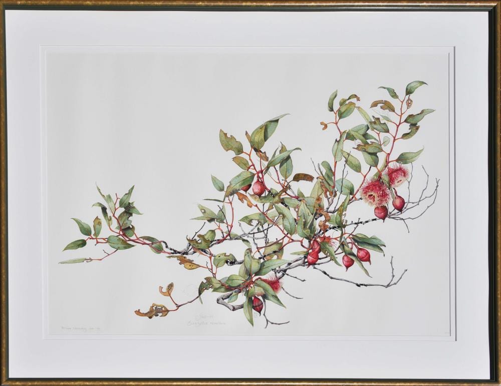 Philippa Nikulinsky comparable auction result: philippa nikulinsky b 1942