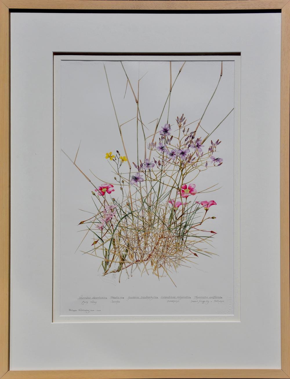 Philippa Nikulinsky comparable auction result: philippa nikulinsky b 1942