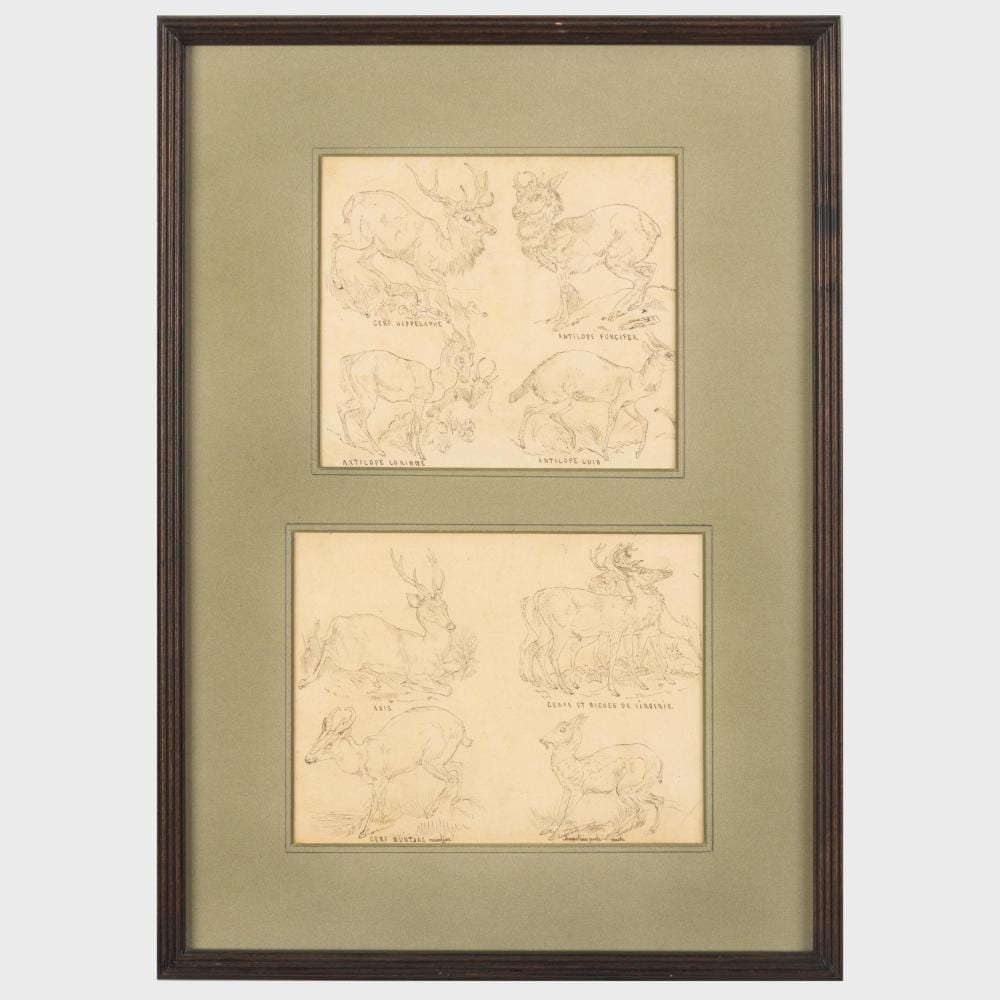 Gustave Deloye comparable auction result: gustave deloye 1838 1899 studies of deer and antelope a pair