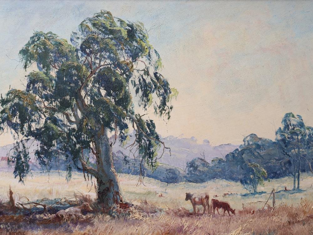 John Milenkovic comparable auction result: john milenkovic oil on board 1973 cattle under tree measures 63cm w x 44cm h signed lower left