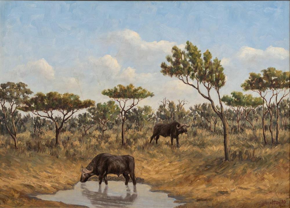 Simon Moroke Lekgetho comparable auction result: simon moroke lekgetho sa 1929 1985 oil water buffalo at a watering hole signed dated 70 40 x 55