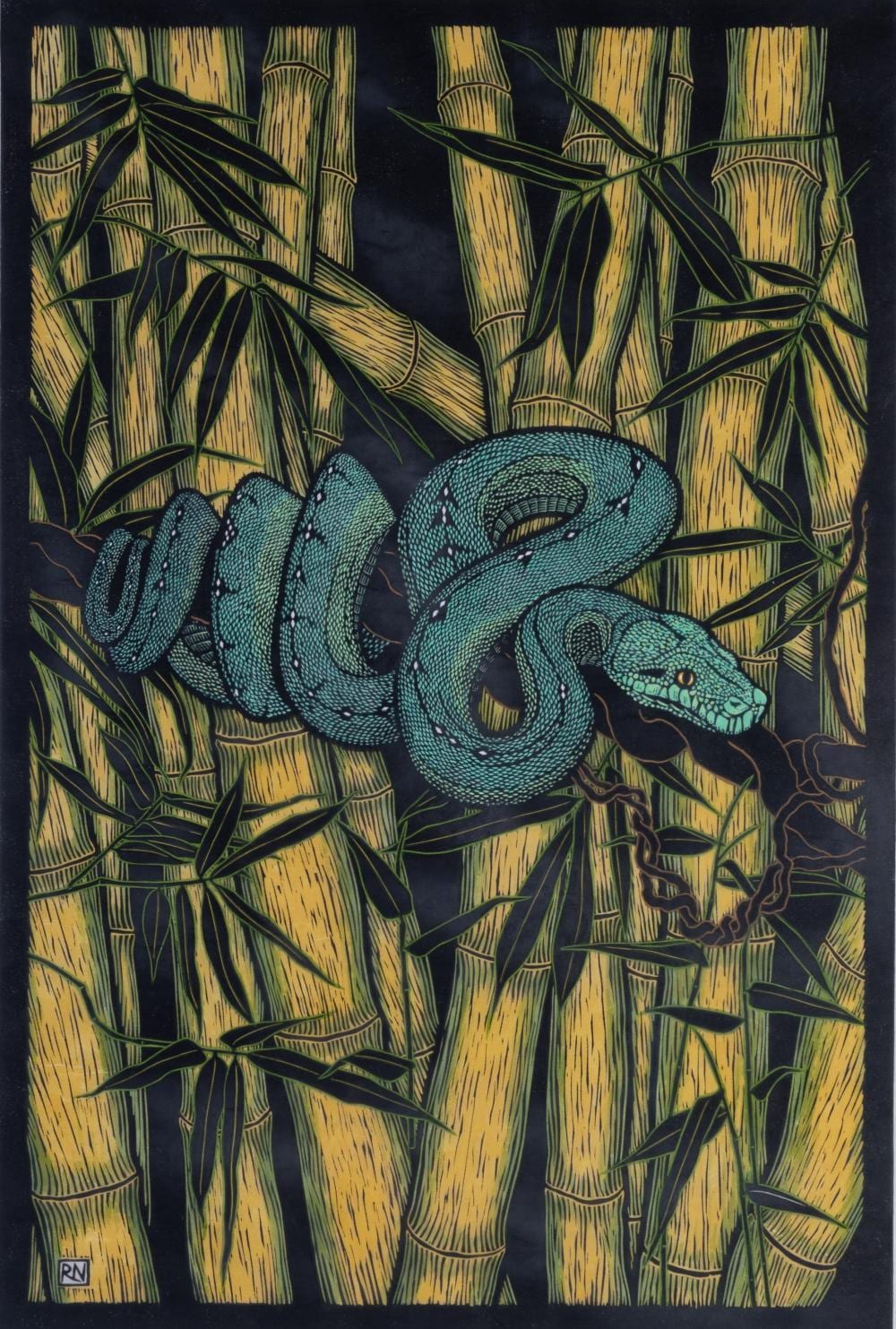Rachel Newling comparable auction result: rachel newling born 1956 green tree python