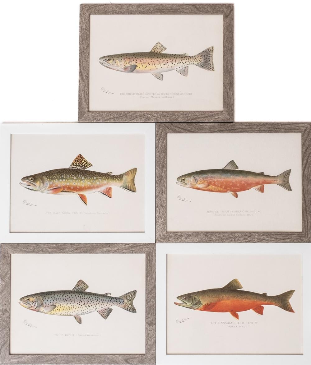 Sherman Denton comparable auction result: five original 1907 signed denton lithographs