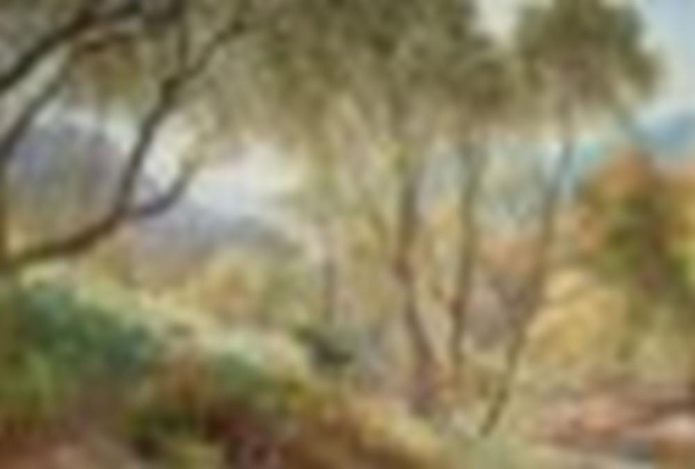 Alfred William Hunt comparable auction result: alfred william hunt british 1830 1896 ullswater from gowbarrow park wate
