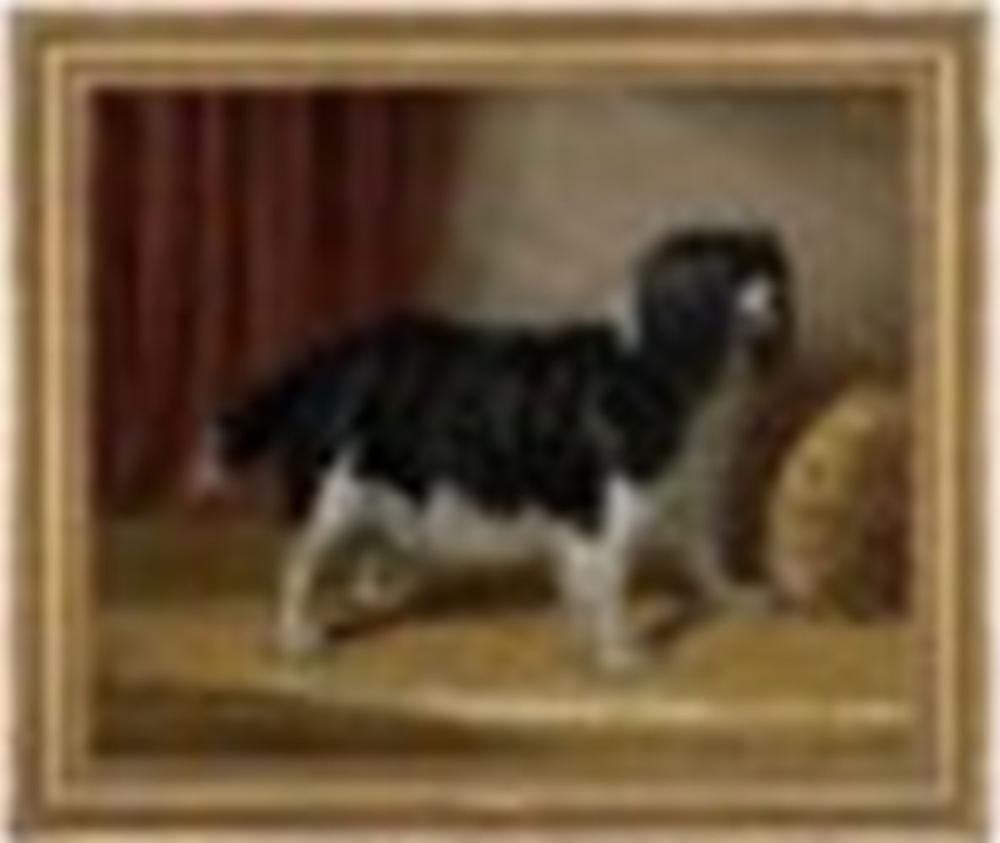 samuel john carter british 1835 1892 a spaniel on the divan oil on canv · Christie's · 2023-02-09 Samuel John Carter comparable auction result: samuel john carter british 1835 1892 a spaniel on the divan oil on canv