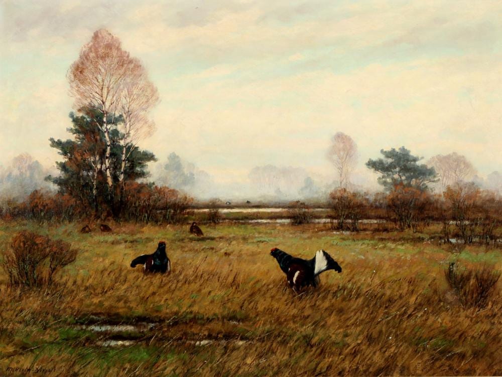 maximilian klein von diepold 1873 1949 black grouses in the heath heidelandschaft mit birkh hnern · Antikauktion Krefeld · 2023-02-25 Maximilian Klein von Diepold comparable auction result: maximilian klein von diepold 1873 1949 black grouses in the heath heidelandschaft mit birkh hnern
