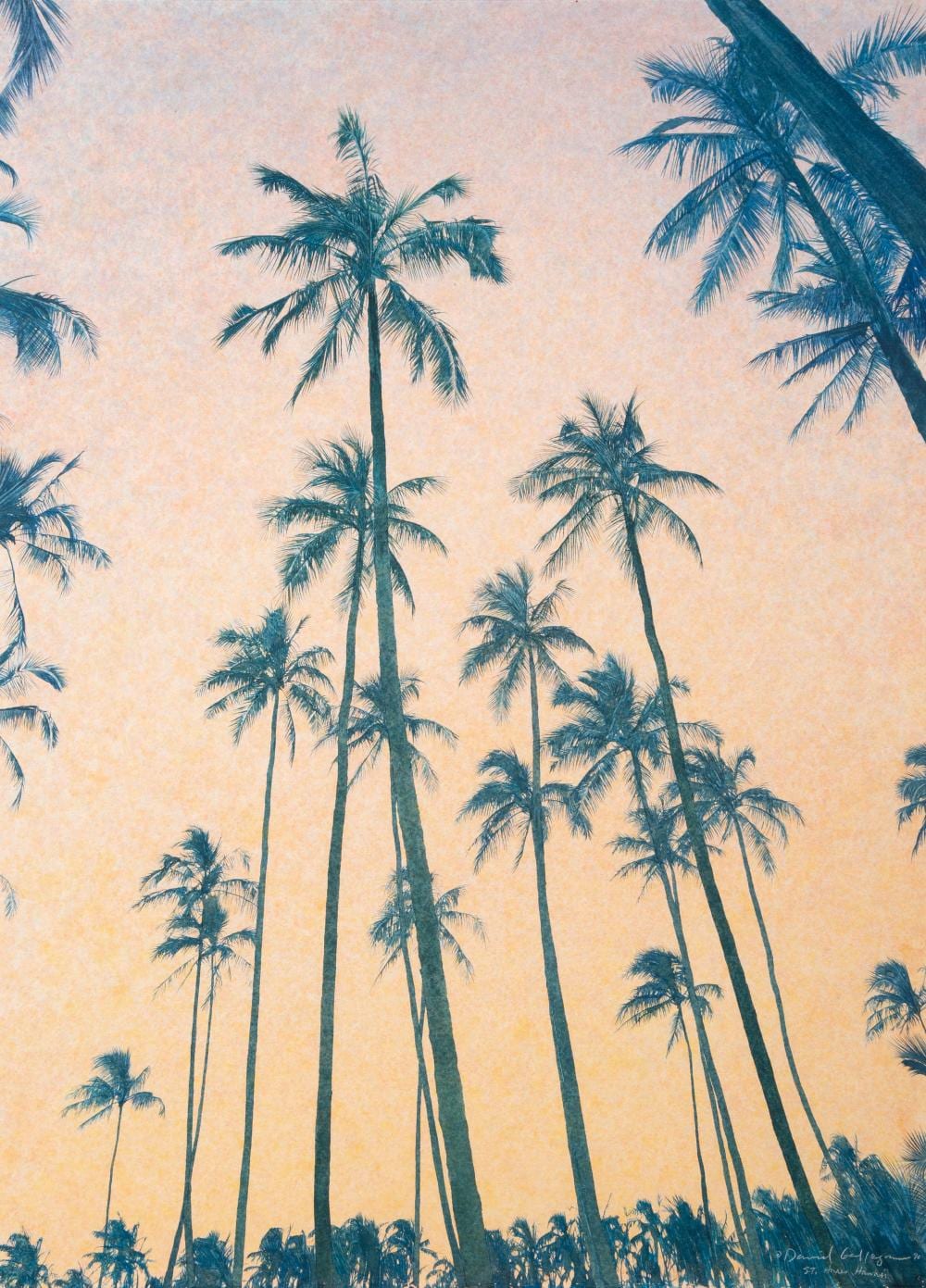 David Maes Gallegos comparable auction result: david maes gallegos american b 1954 st anne s palms 1990
