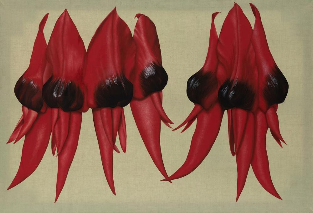 Susan Anderson comparable auction result: susan anderson born 1962 sturt desert peas 2003