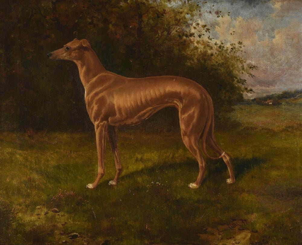 James (1858/1943) Clark comparable auction result: james clark british 1858 1943 a greyhound
