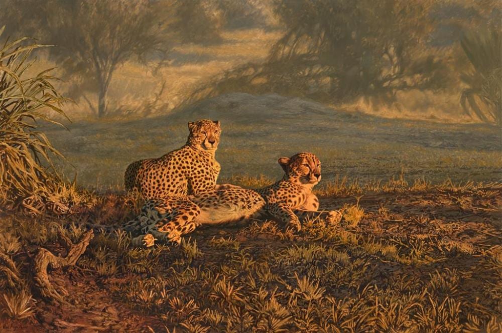 Paul Augustinus comparable auction result: paul augustinus 1952 cheetahs resting on the grassland south africa oil on canvas 80 x 120 cm frame 103 x 144 x 4 cm signed