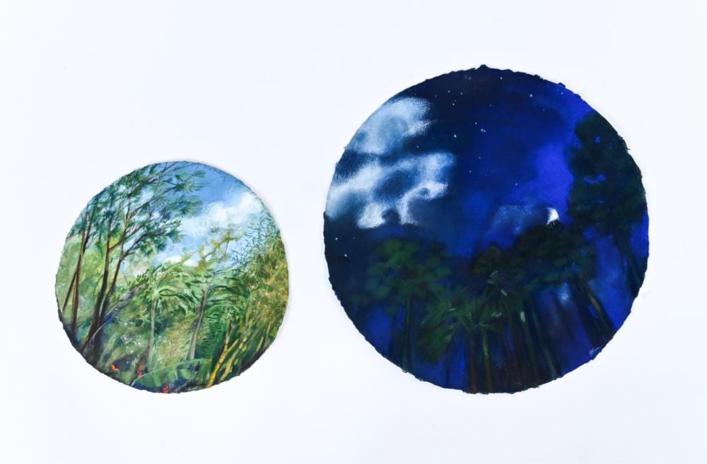 Donna Marxer comparable auction result: 2 donna marxer 1934 2019 pastels