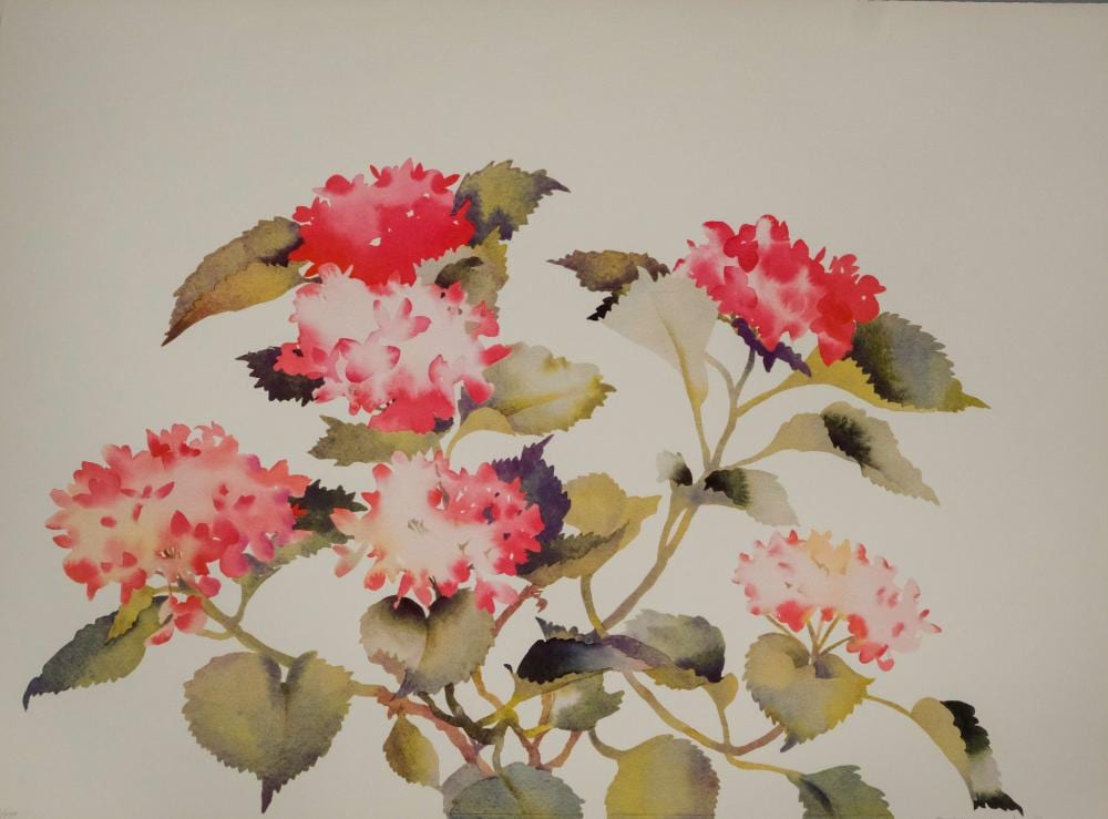 susan headley van campen red geraniums · Old Kinderhook Auction Company · 2023-02-28 Susan Headley van Campen comparable auction result: susan headley van campen red geraniums