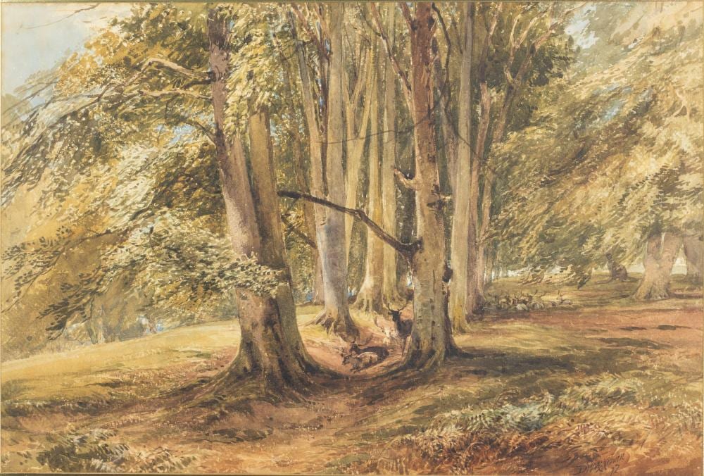 David Hall McKewan comparable auction result: david hall mckewan deer in a cove of trees w c
