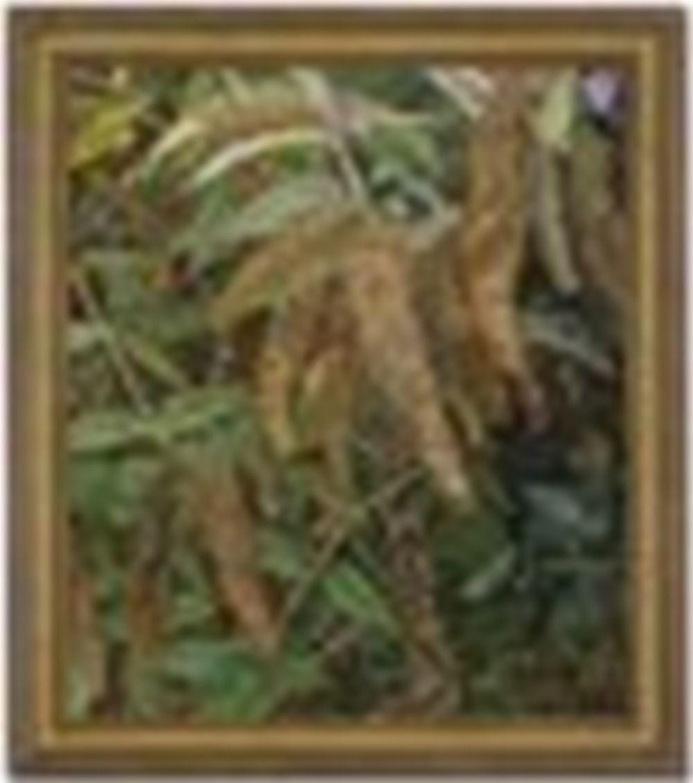 Lucian Freud (1922-2011) Garden from the Window oil on canvas 28 1/8 x 24 1 comparable sale