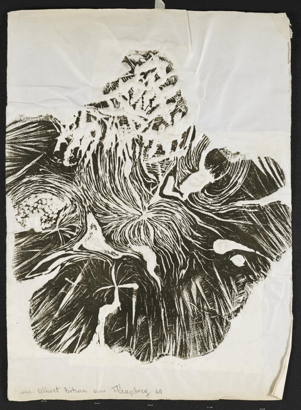 Frans Krajcberg comparable auction result: frans krajcberg 1921 2017 sans titre 1964 empreinte et embossage sur papiersign et dat en bas gauched dicac pour albert bitran en bas gauche75 3 55 cm