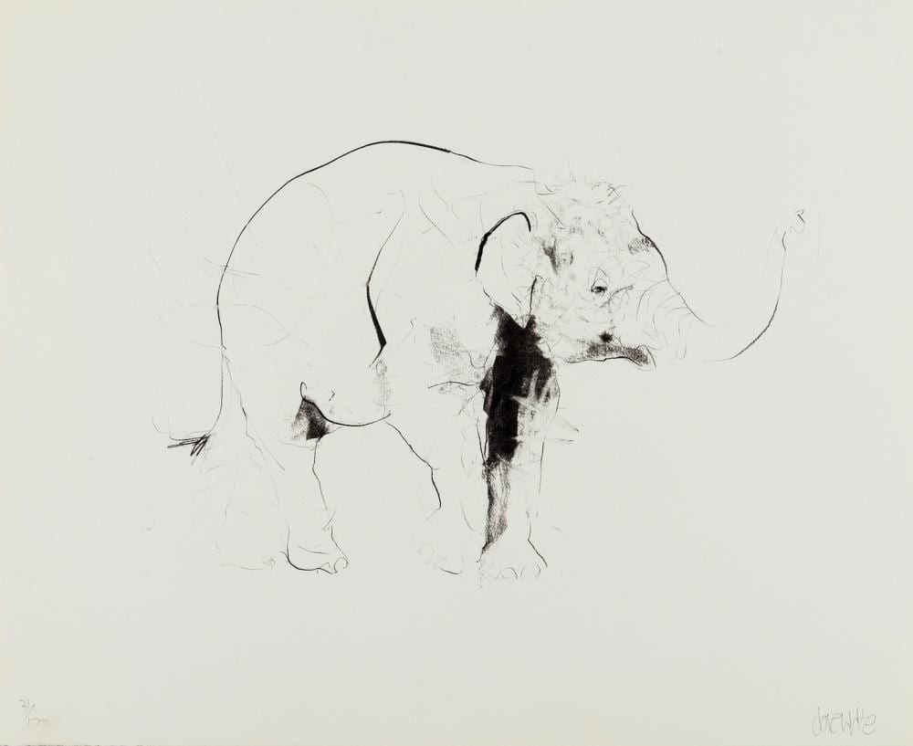 Dave White comparable auction result: dave white b 1971 elephant ii