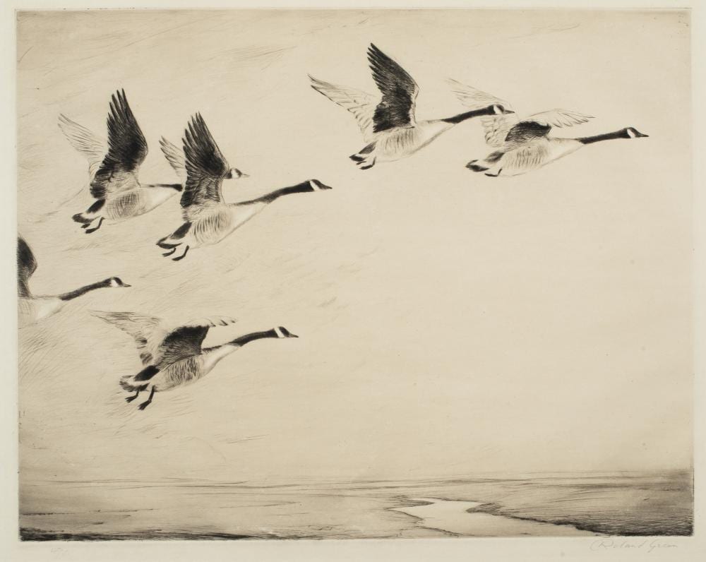 Roland Green comparable auction result: roland green 1896 1972 canadian geese