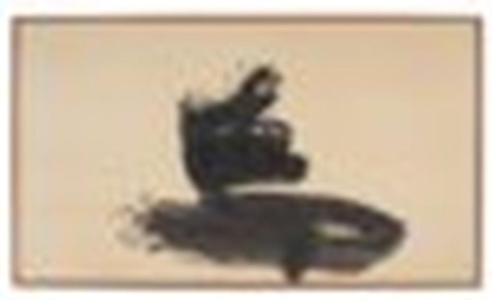 Yuichi Inoue comparable auction result: inoue yuichi 1916 1985 tori bird framed ink on paper 47 7 8 x 84 7 8 i