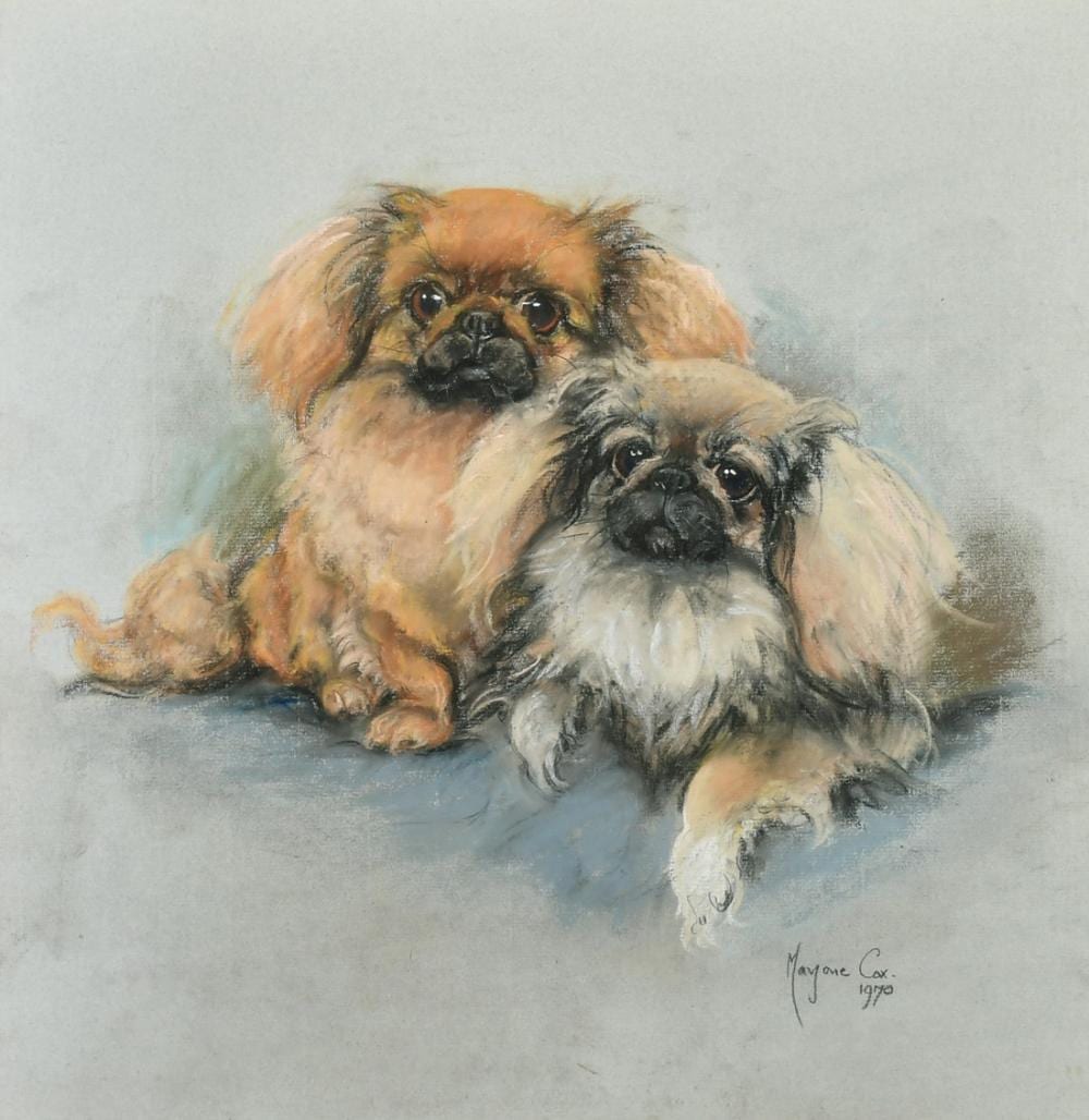 Marjorie Cox comparable auction result: marjorie cox 1915 2003 british a portrait study of two pekingese pastel signed and dated 1970 18 5 x 17