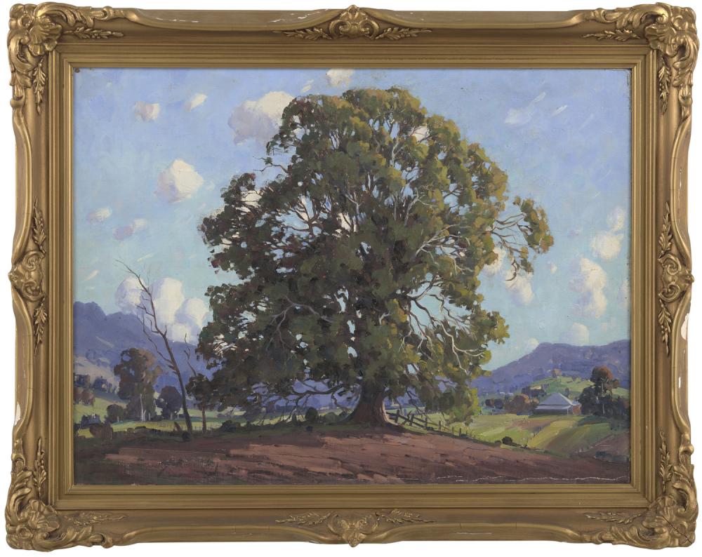 Travis Webber comparable auction result: travis webber 1900 1968 a large tree in an australian farm landscape oil on composition board