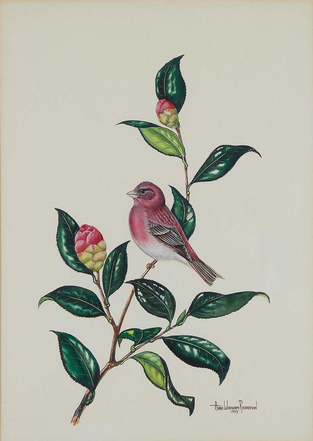 Anne Worsham Richardson comparable auction result: anne worsham richardson