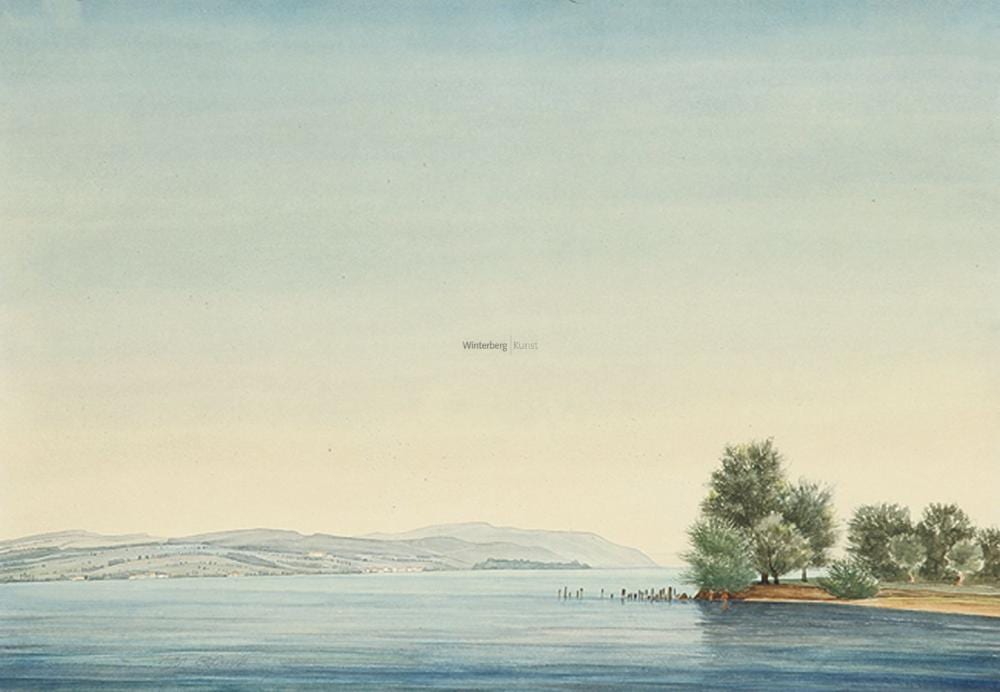 Franz Lenk comparable auction result: franz lenk blick auf den bodensee mit dem bodanr ck