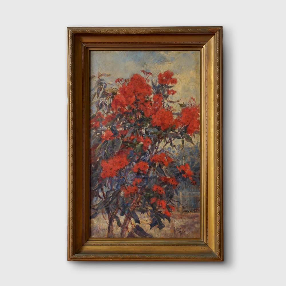 Albert Edward Aldis comparable auction result: albert edward aldis 1870 1921 red flowering gum