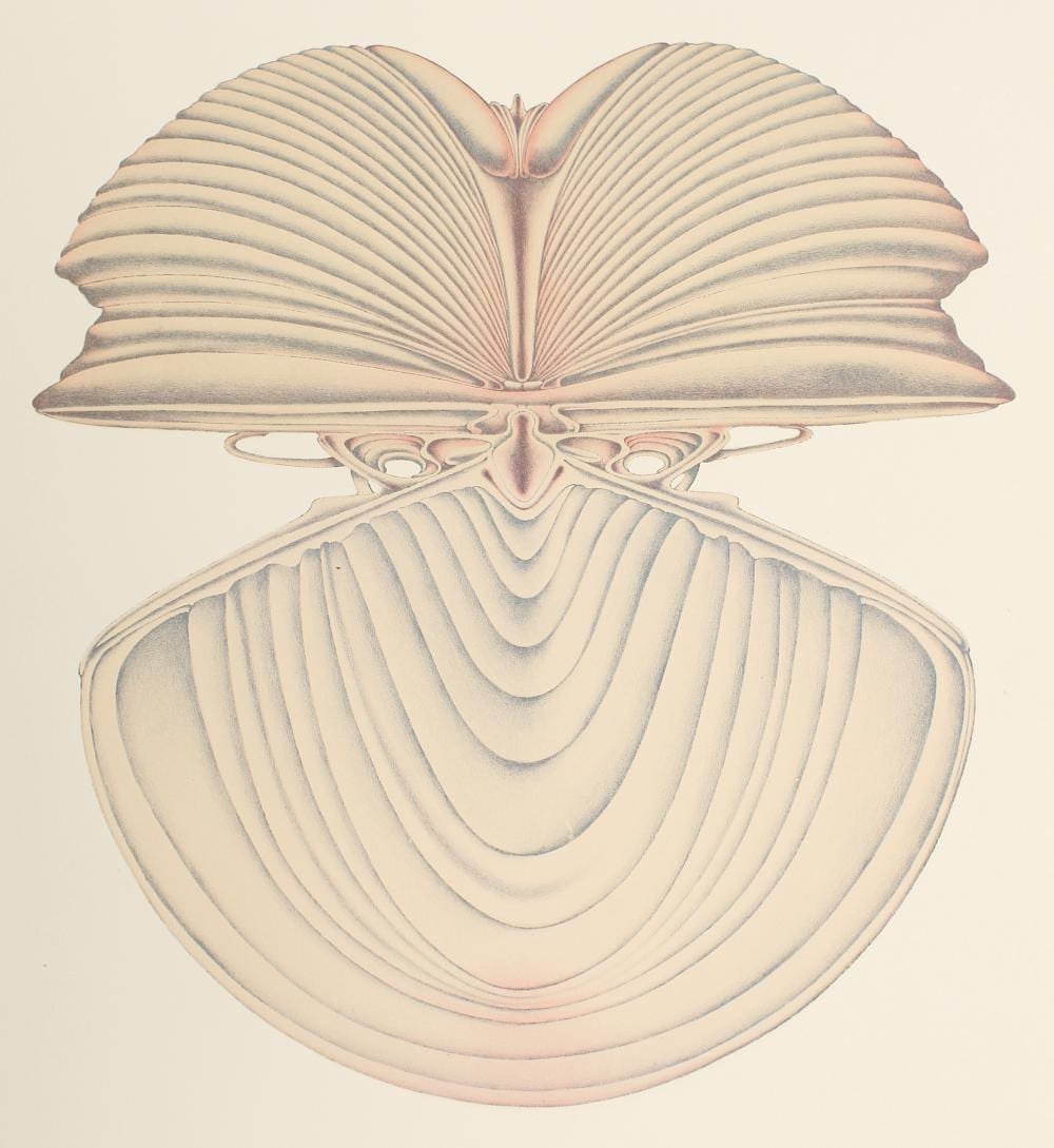 Alain LeFoll comparable auction result: alain lefoll french 1935 1981 lithograph