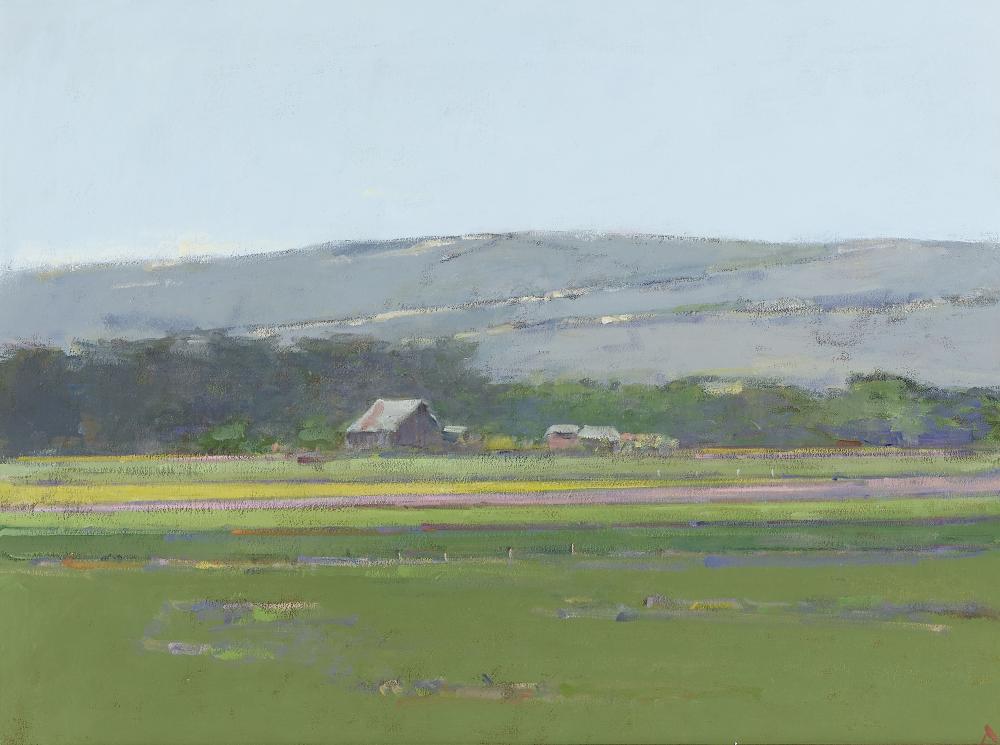 Terry Delapp comparable auction result: terry delapp 1934 2020 flower field lompoc 24 x 32 in framed 32 x 38 in painted in 2001
