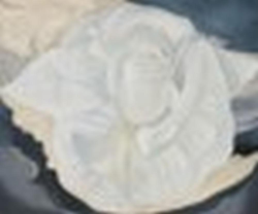 Georgia O'Keeffe (1887-1986) White Calico Rose oil on canvas 30 x 36 in. (7 comparable sale