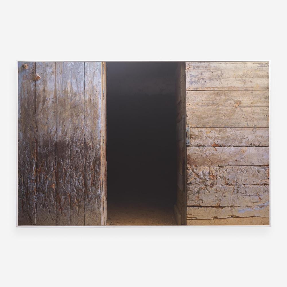 Ori Gersht comparable auction result: ori gersht israeli b 1967 cells cell 4