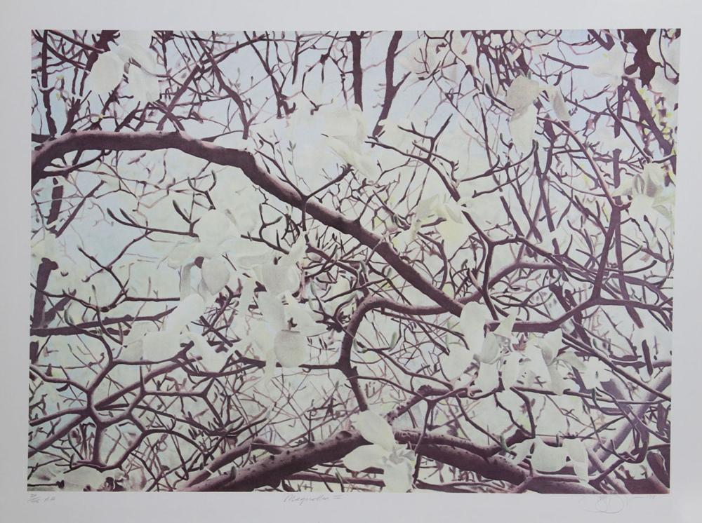 Jon D'Orazio comparable auction result: jon d orazio magnolia iv lithograph